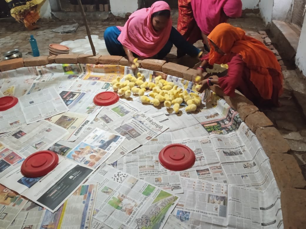 Keep your supporters up to date has never !